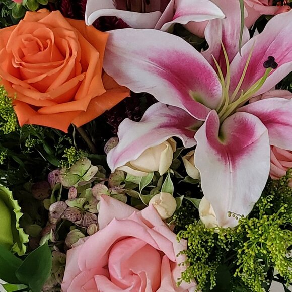 Meet your Posher, Uv - Picture 1 of 1